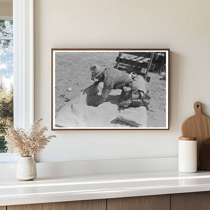 Cowboy Prepares Bedroll at Walking X Ranch May 1939