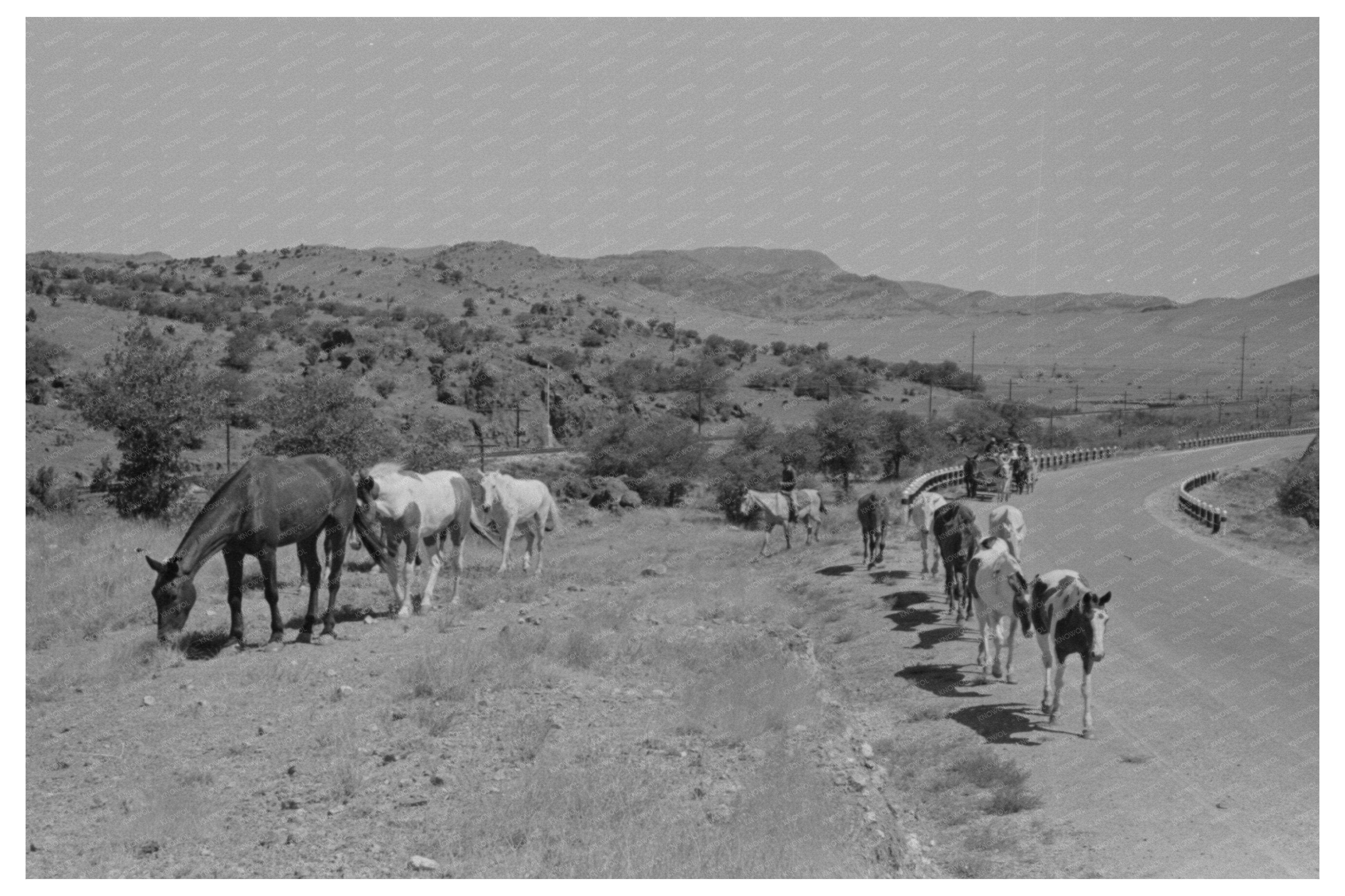 Walking X Ranch Water Transport Crew Marfa Texas 1939