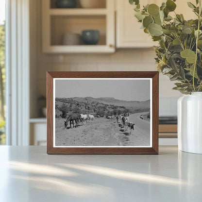 Walking X Ranch Water Transport Crew Marfa Texas 1939