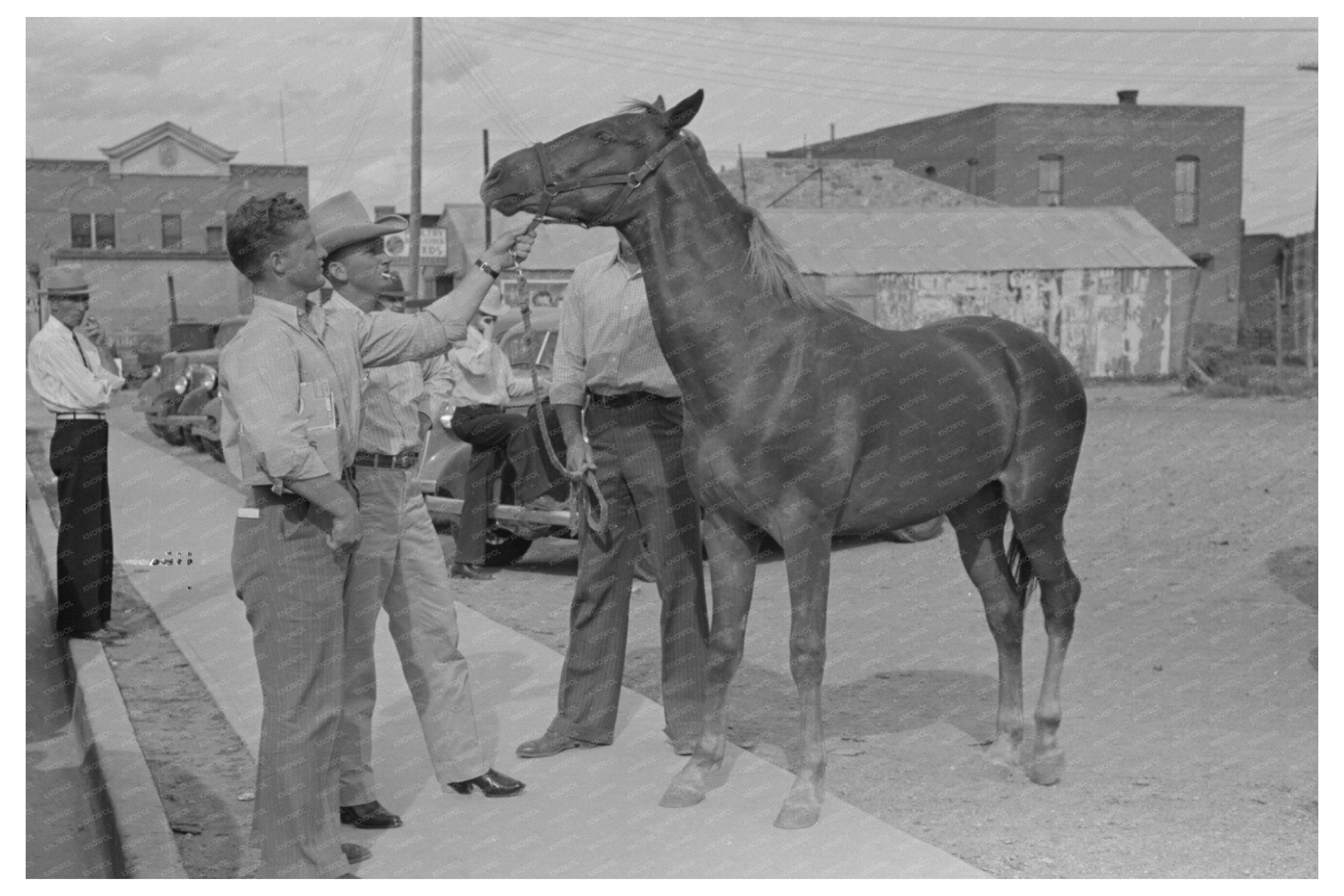 Horse for Sale in Alpine Texas May 1939