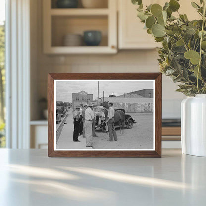 Horse for Sale in Alpine Texas May 1939 Vintage Photo