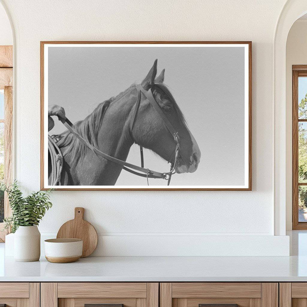 Horses Head and Cowboy Gloves Texas Ranch 1939