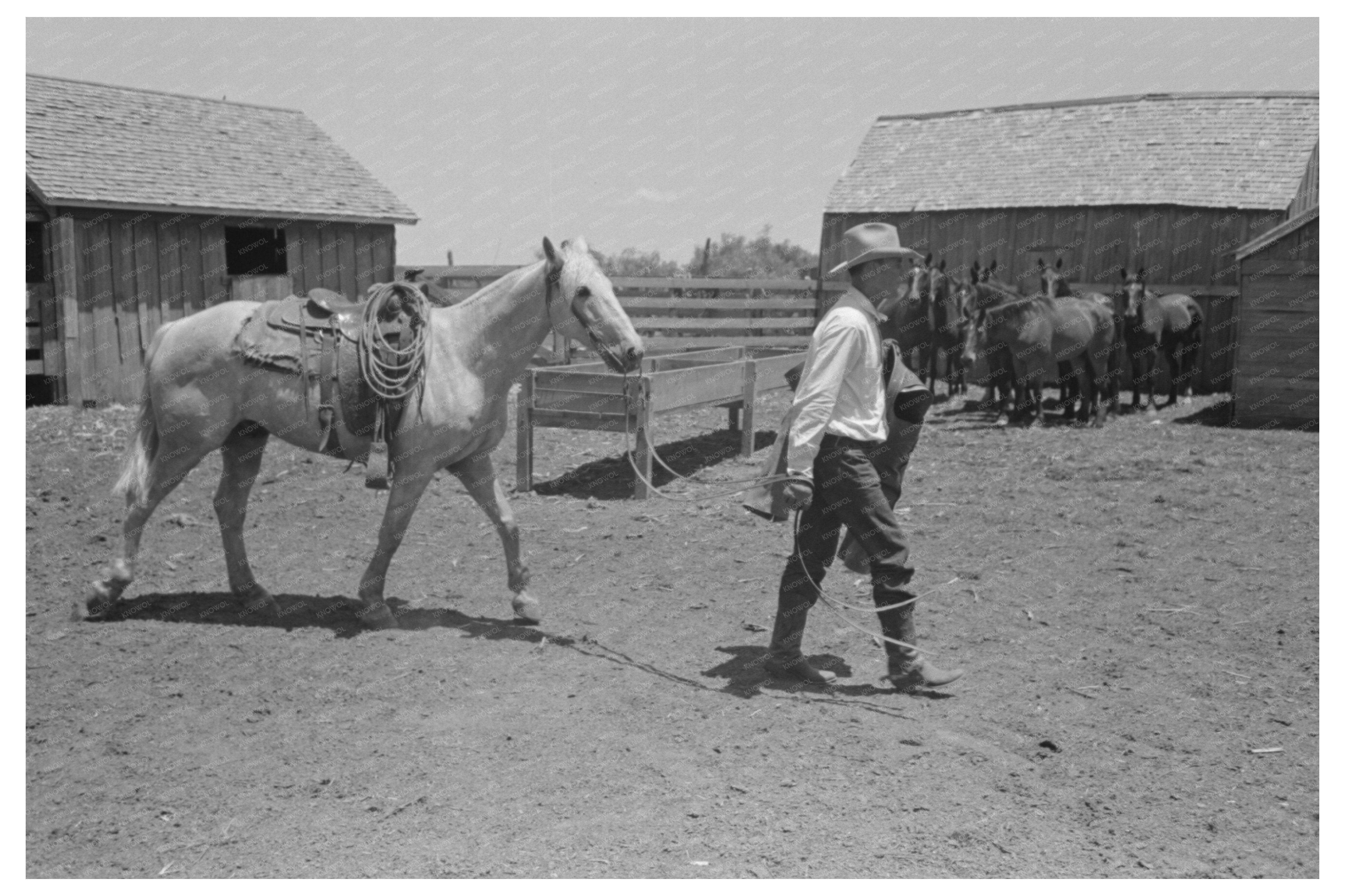 Cowboy and Saddled Horse at Spur Texas Ranch 1939