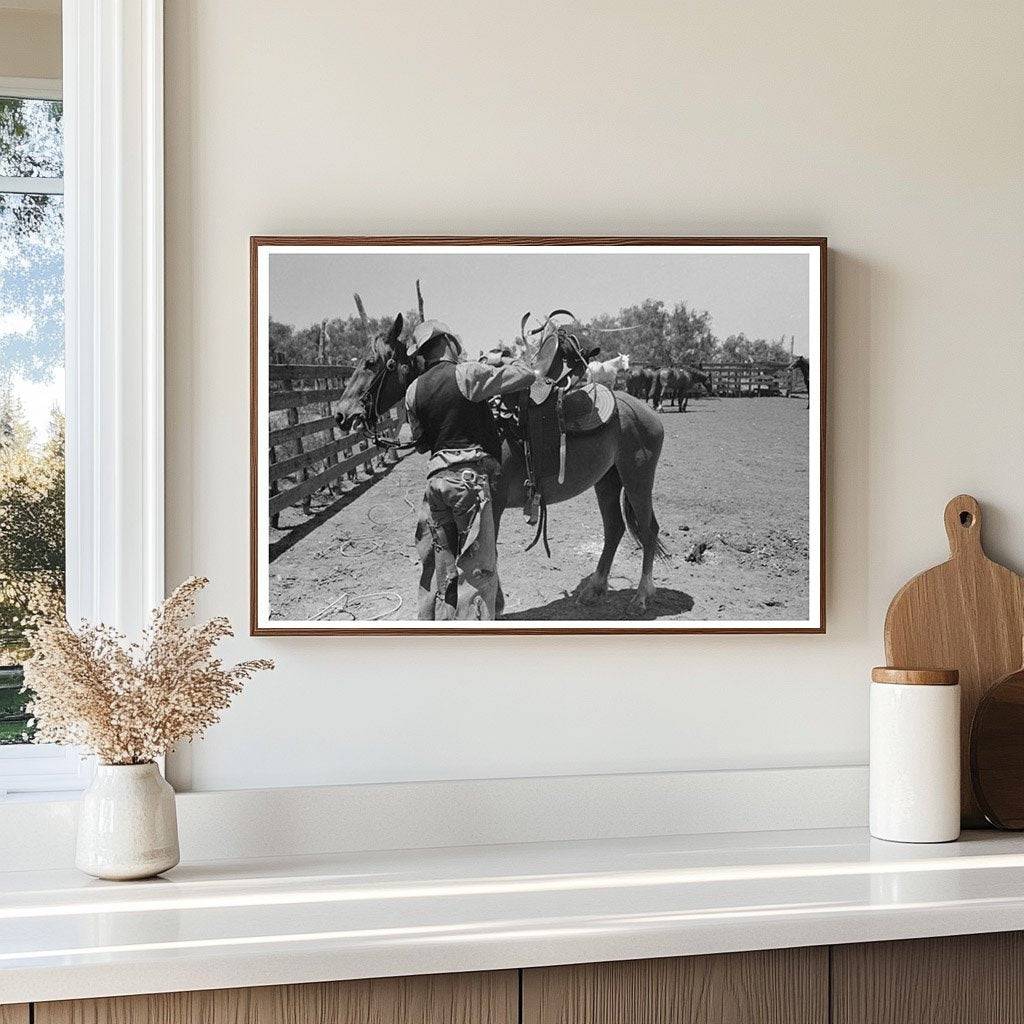 Cowboy Saddling Horse at SMS Ranch Spur Texas 1939