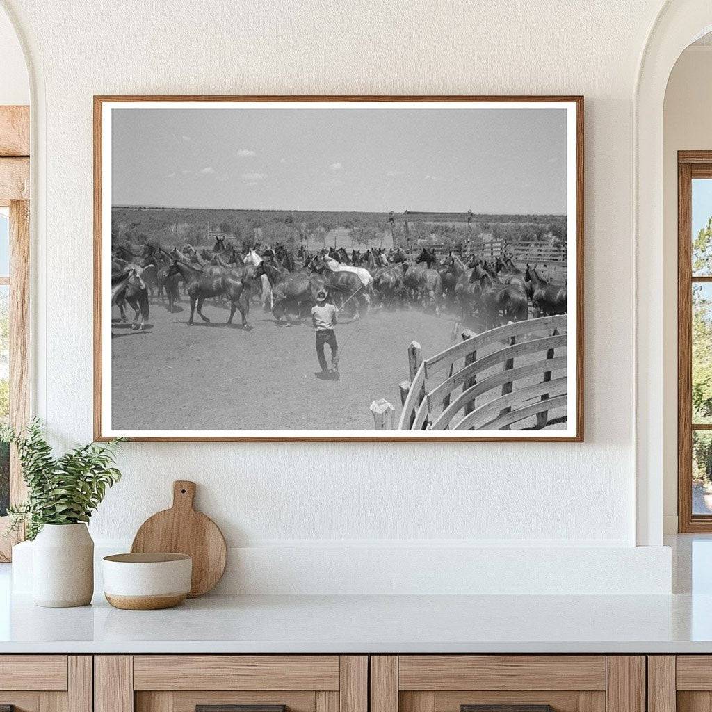 Cowboy Roping Horse at SMS Ranch Texas May 1939