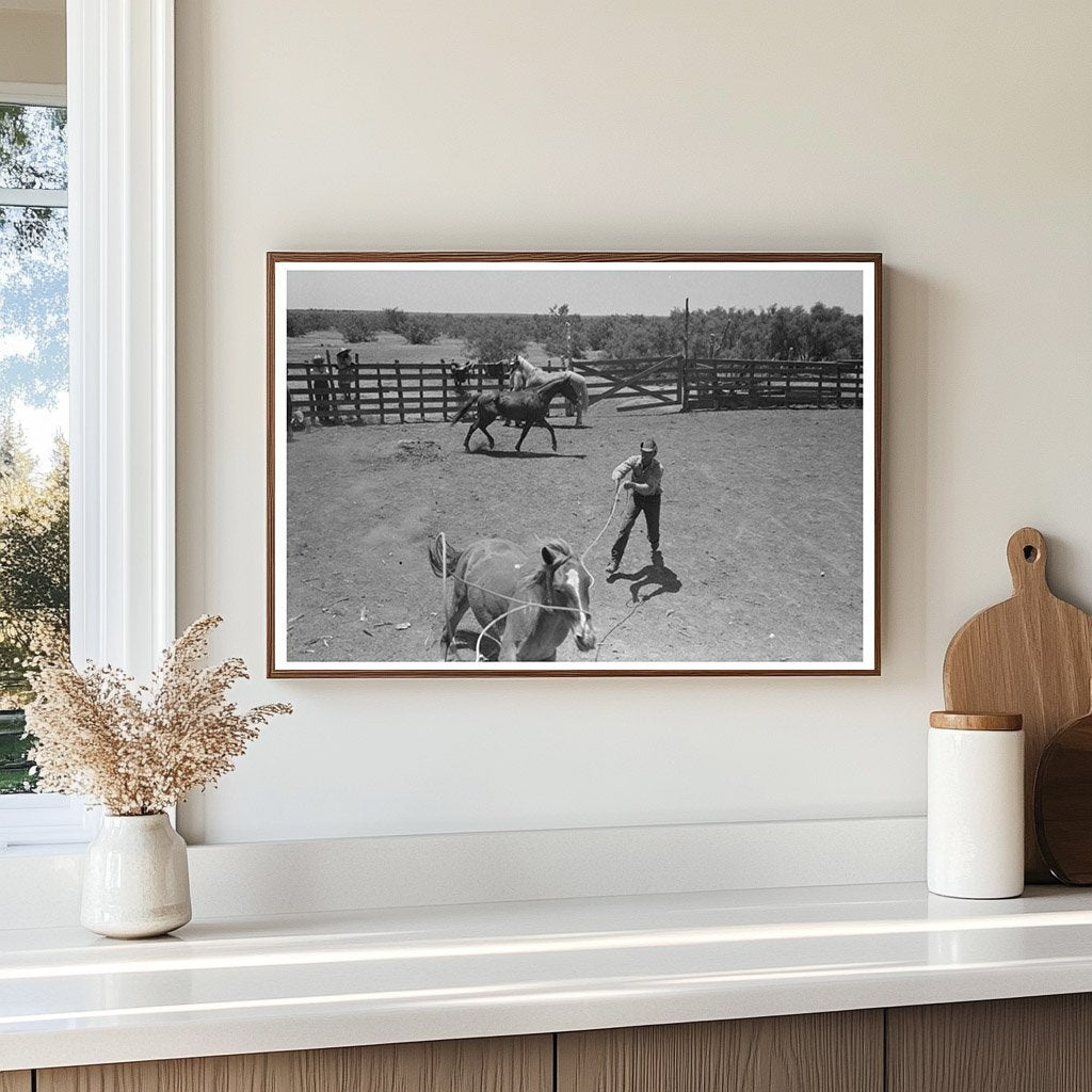 Cowboy Roping Horses at Spur Texas Cattle Ranch 1939