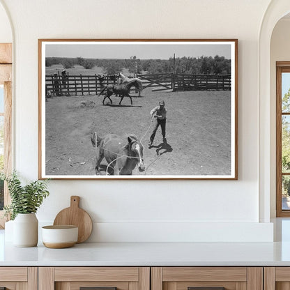 Cowboy Roping Horses at Spur Texas Cattle Ranch 1939