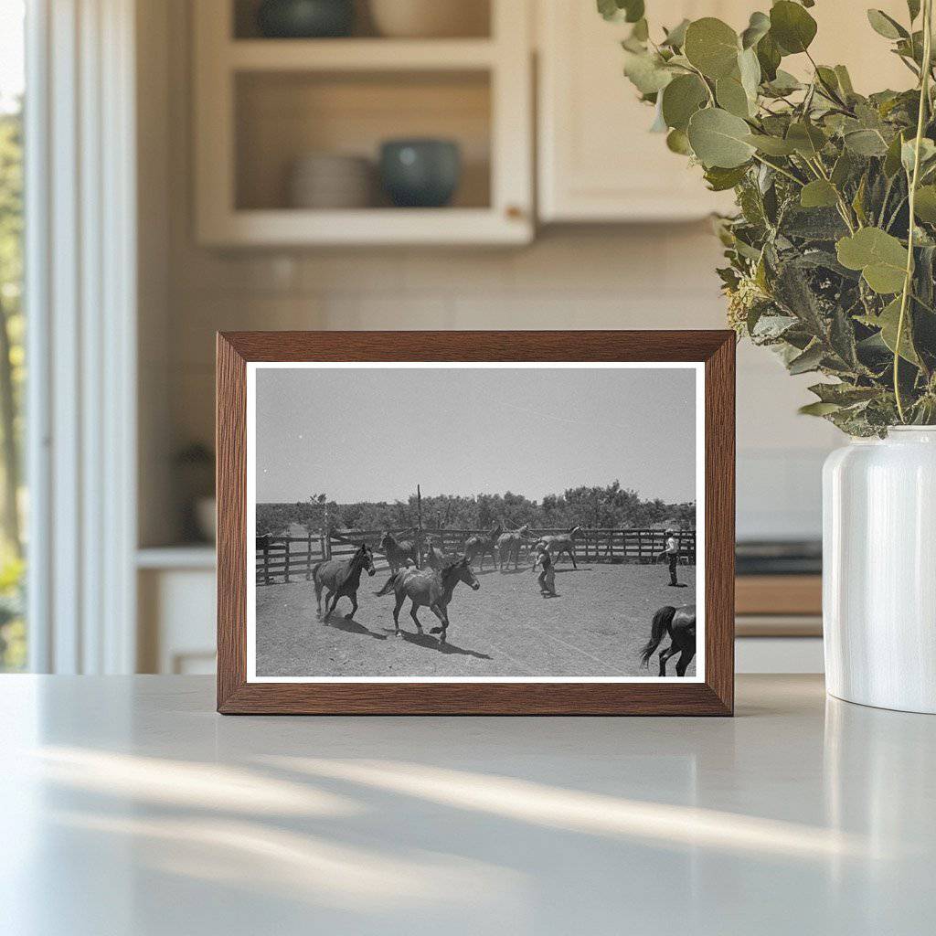 Cowboy Roping Horse in Spur Texas May 1939