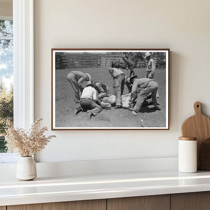 Ranch Workers Branding Cattle Spur Texas May 1939