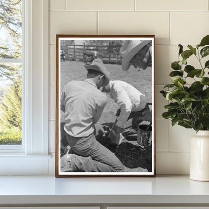 Calf Horn Removal Process at SMS Ranch Texas May 1939