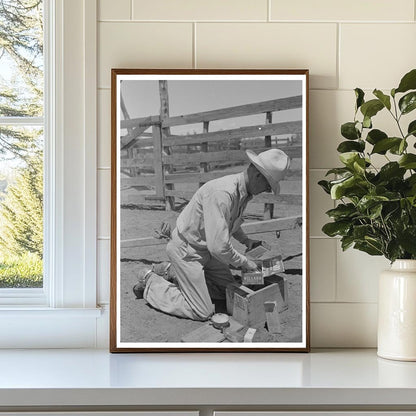 Cowboy Gathers Supplies for Cattle Inoculation 1939