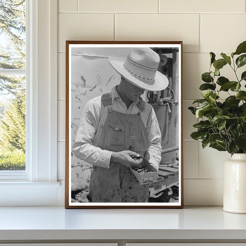 Day Laborer Examining Nuts and Bolts on Texas Farm 1939