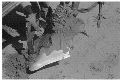 Laborer Cleans Tractor Plow Points on Texas Farm May 1939