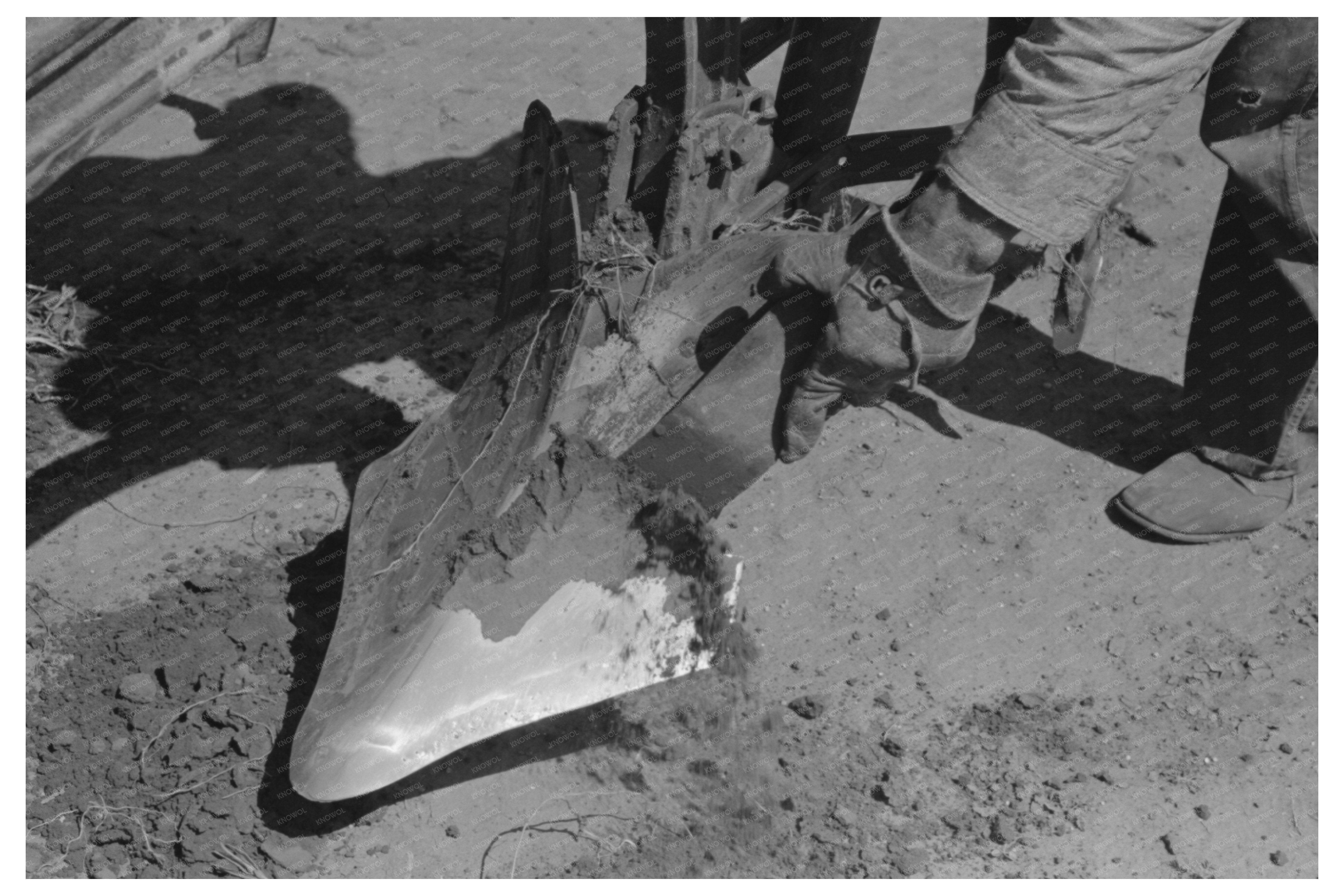 Farmer Cleaning Plow Point on Texas Farm May 1939