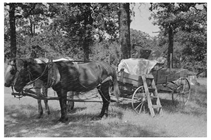 Horses and Wagon in Oklahoma Churchyard 1939