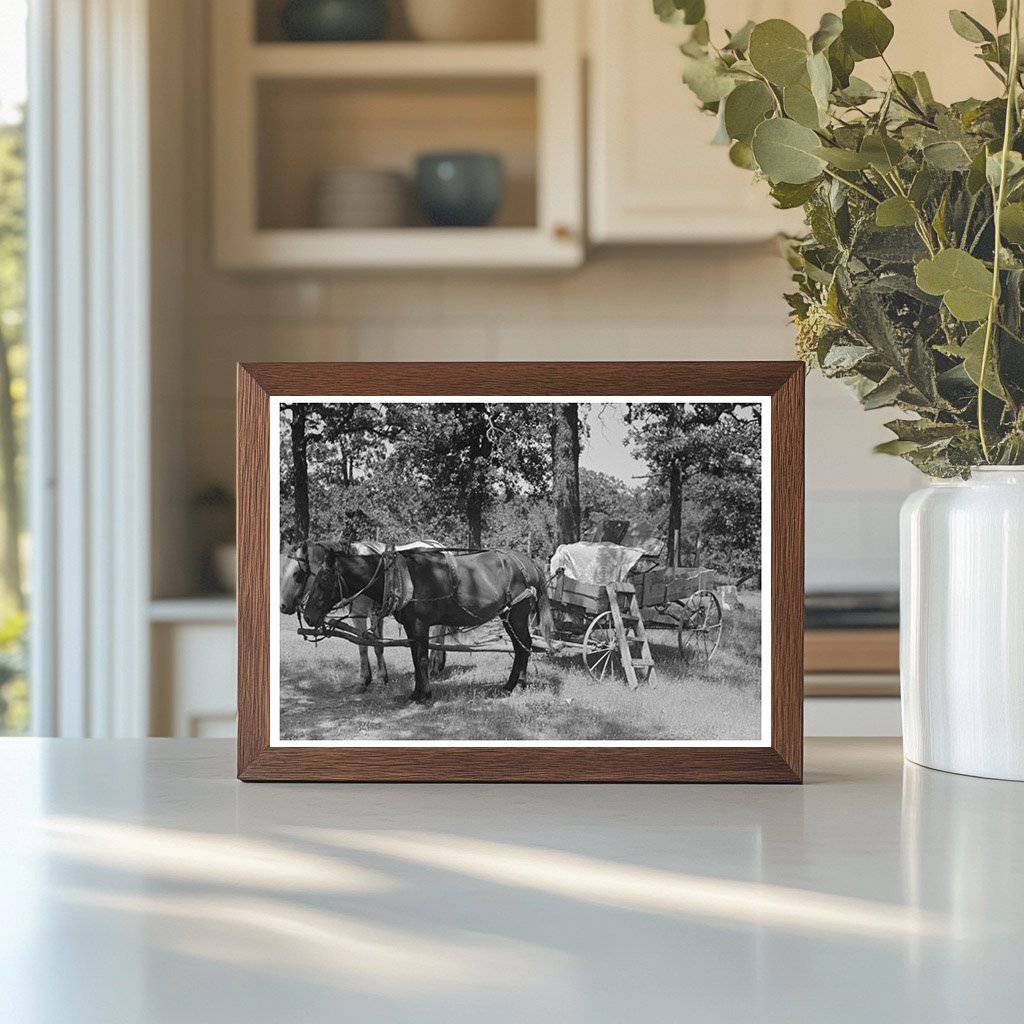 Horses and Wagon in Oklahoma Churchyard 1939