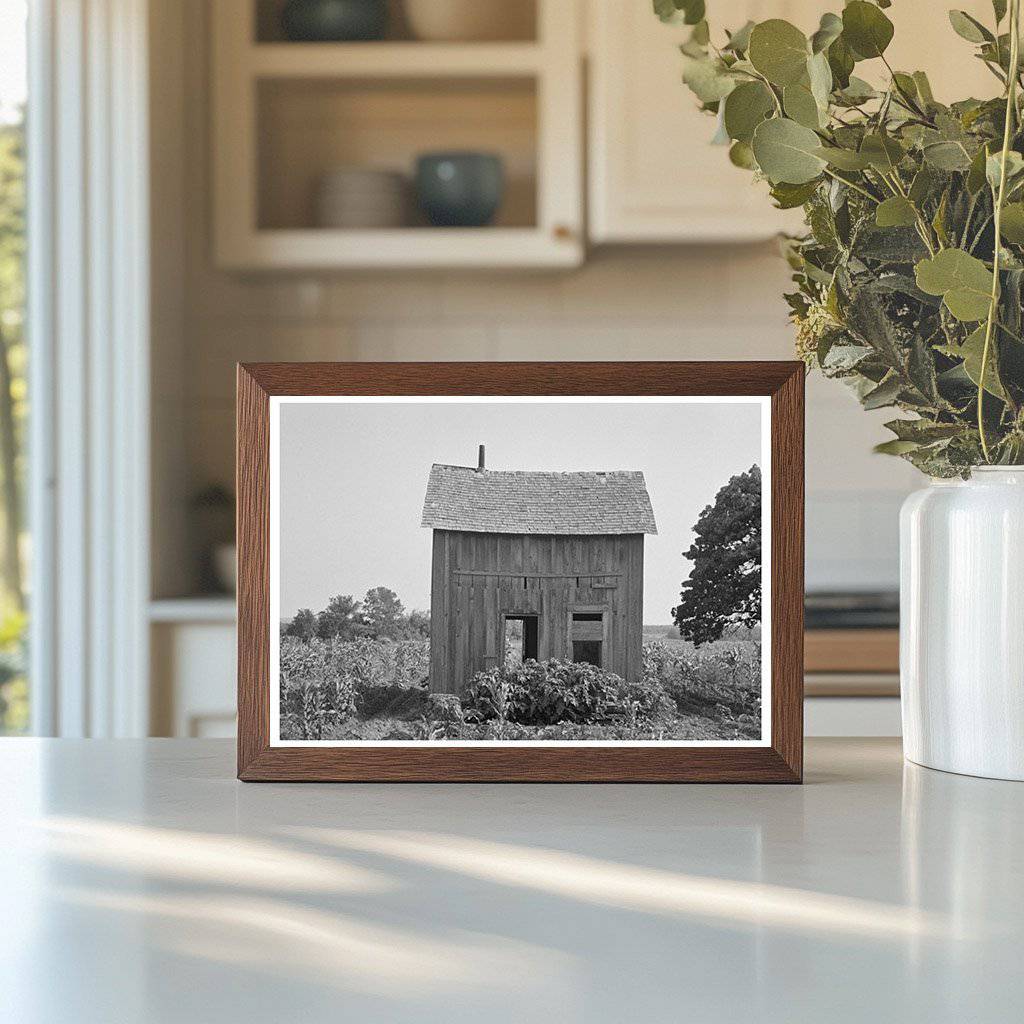 Abandoned House in Cornfield McIntosh County 1939