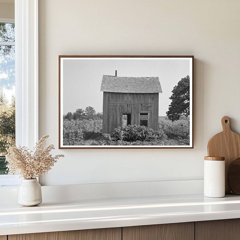 Abandoned House in Cornfield McIntosh County 1939