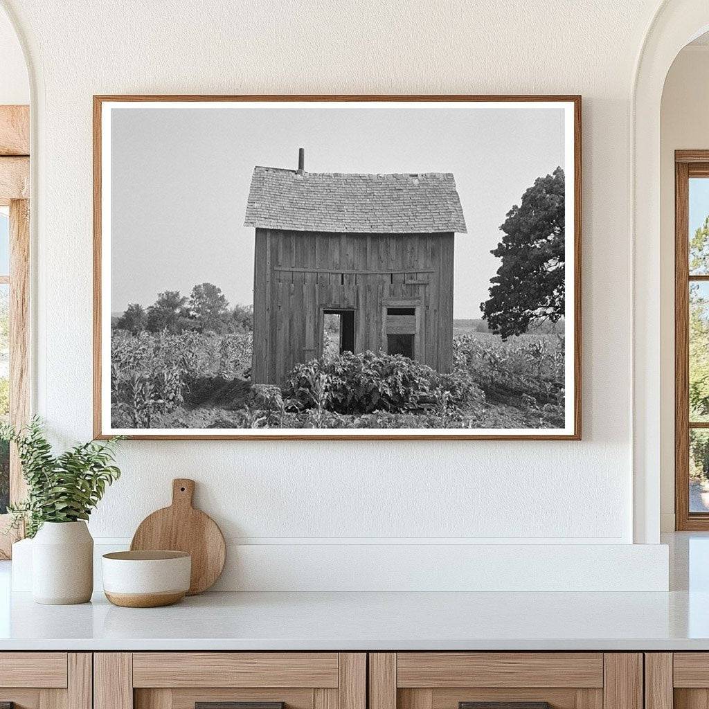 Abandoned House in Cornfield McIntosh County 1939