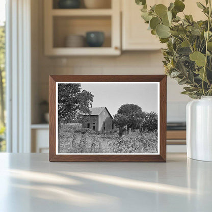 Abandoned House and Corn Field McIntosh County 1939