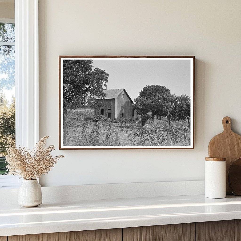 Abandoned House and Corn Field McIntosh County 1939