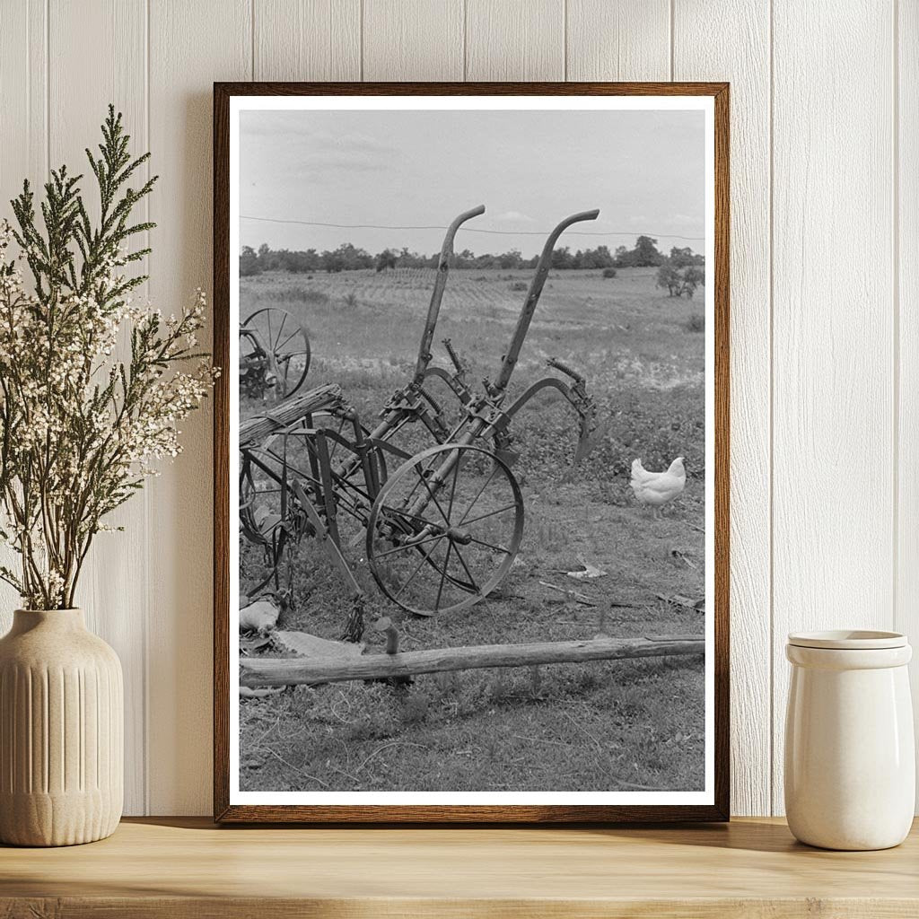 Vintage Buggy in Daisies Field Oklahoma 1939