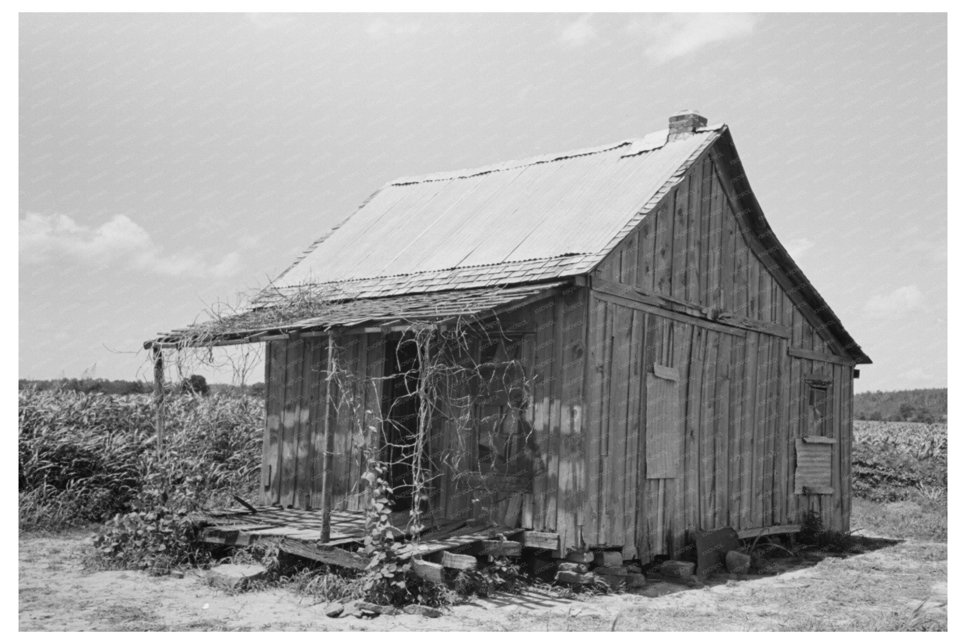 Migrant Workers Home Vian Oklahoma June 1939