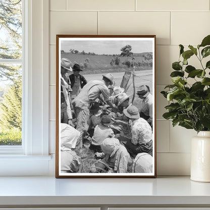 Potato Pickers in Spiro Oklahoma June 1939