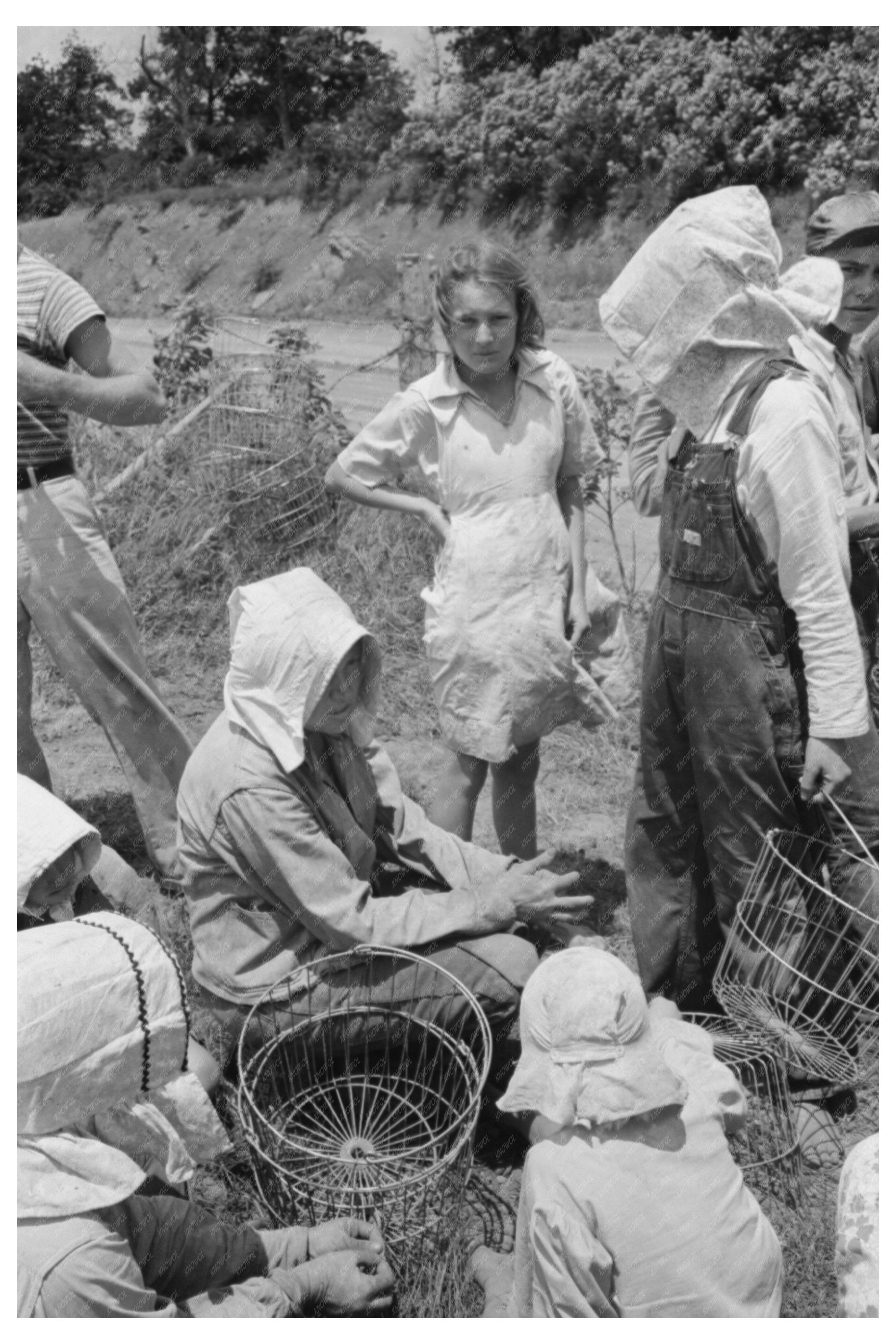 Potato Workers in Sequoyah County Oklahoma June 1939