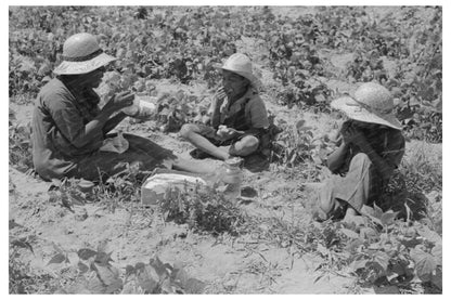 Family Lunch in String Bean Field Oklahoma 1939