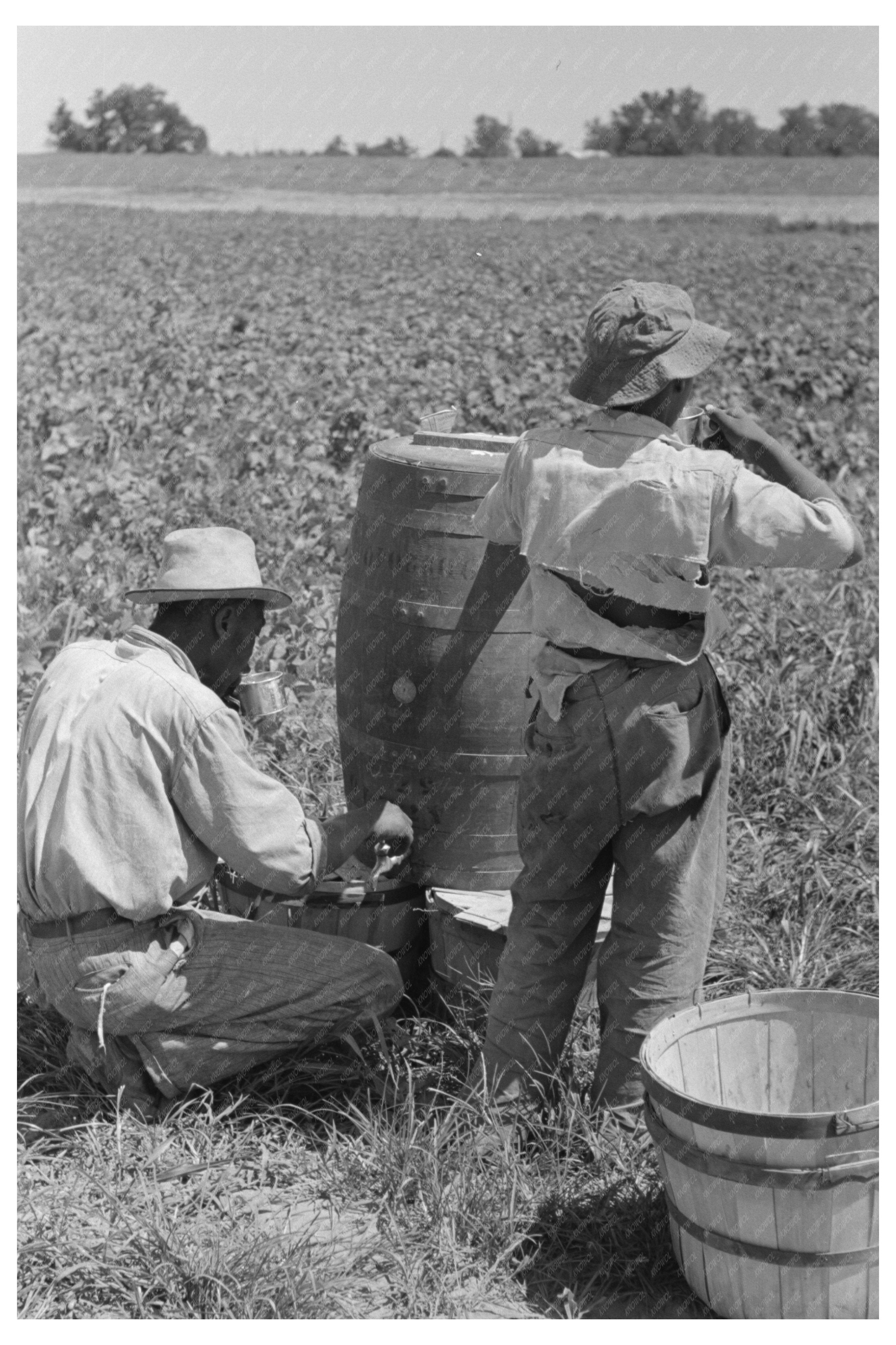 Agricultural Laborer Drinking Water Oklahoma June 1939