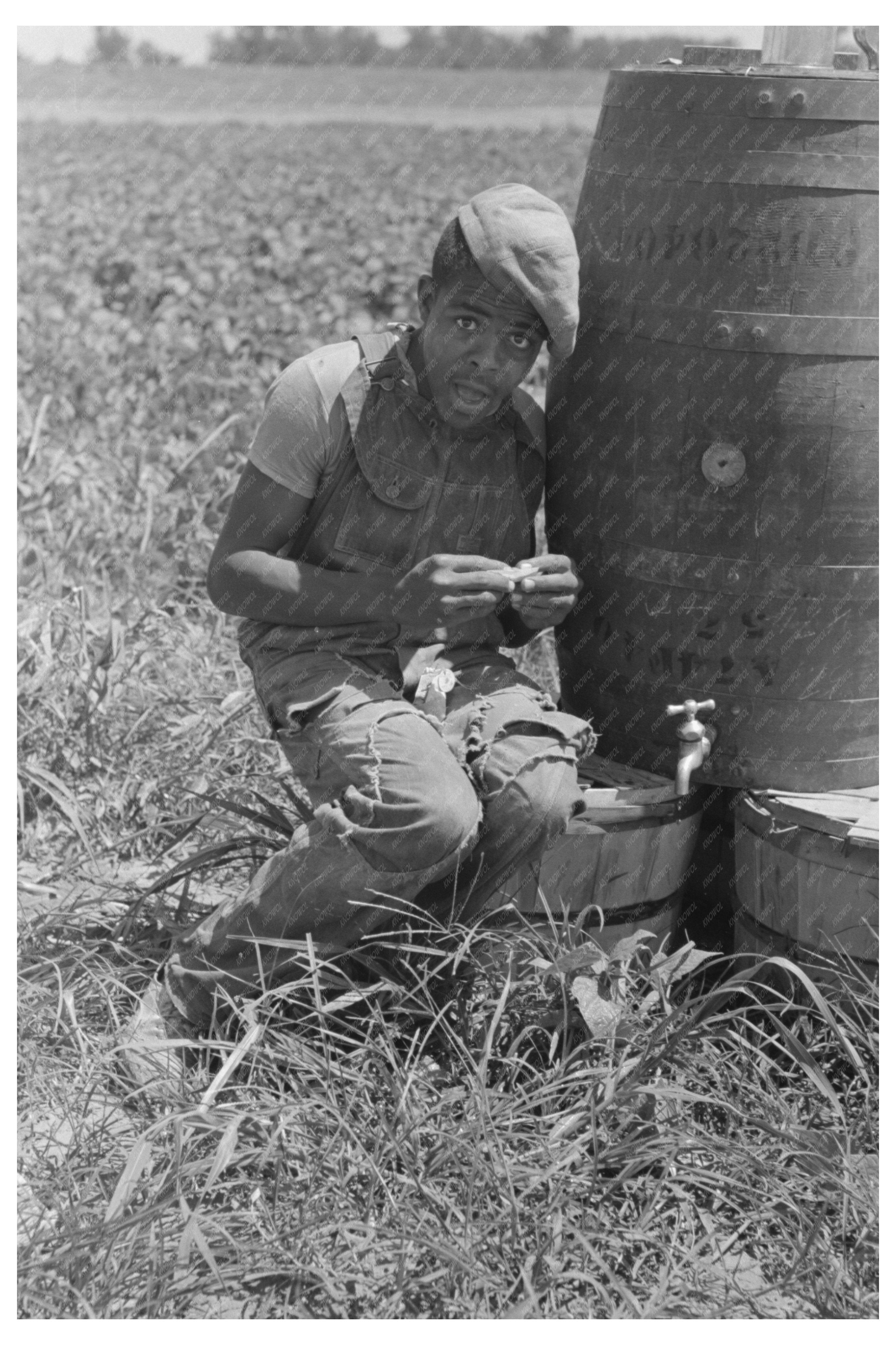 Young Laborer Rolling Cigarette in String Bean Field 1939