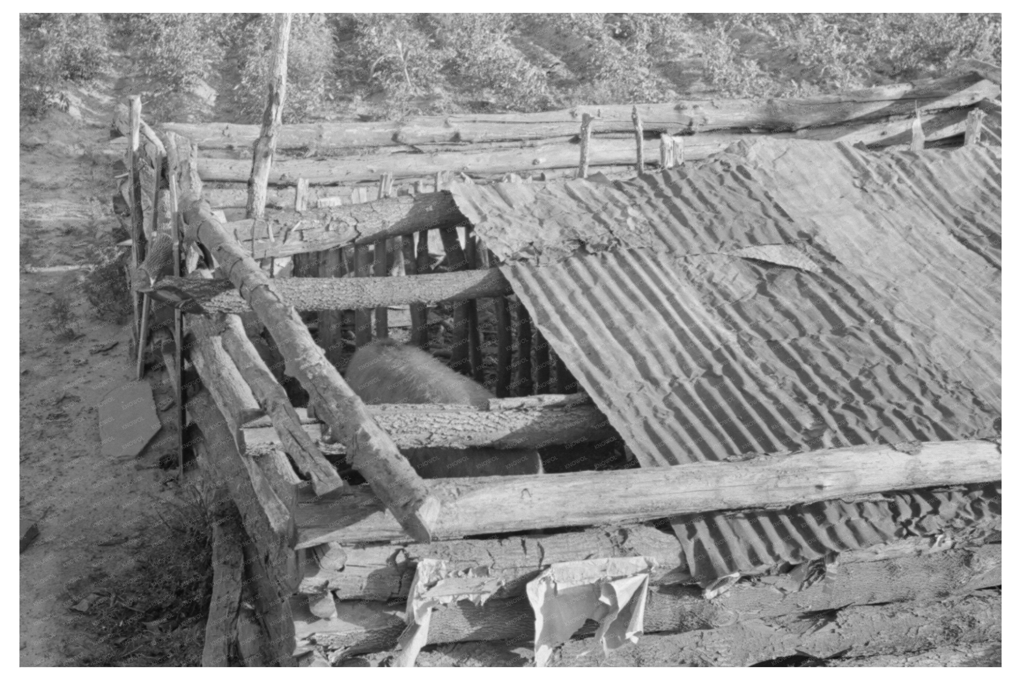 Hogpen Construction by Indian Laborers Oklahoma 1939