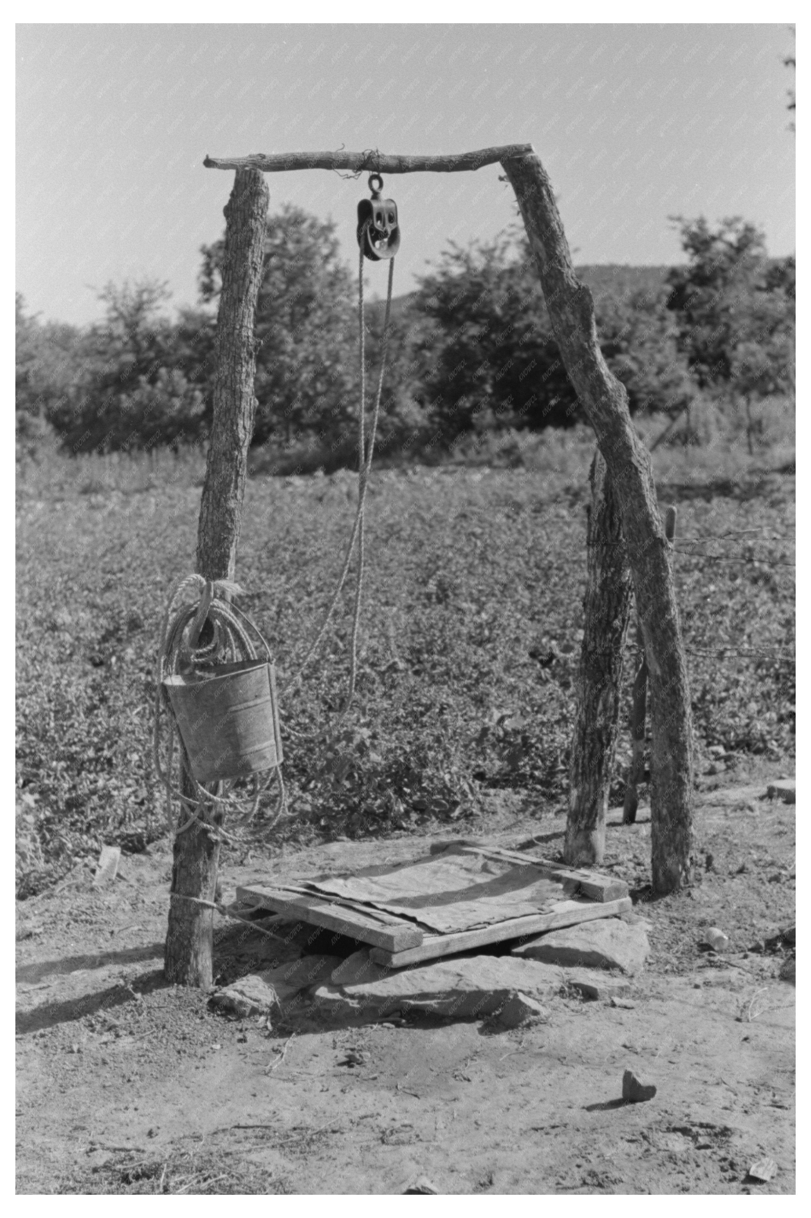 Tenant Farmer in McIntosh County Oklahoma 1939 Photo