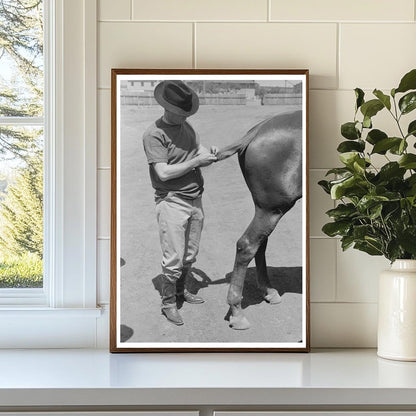 Braiding a Horses Tail for Polo May 1939