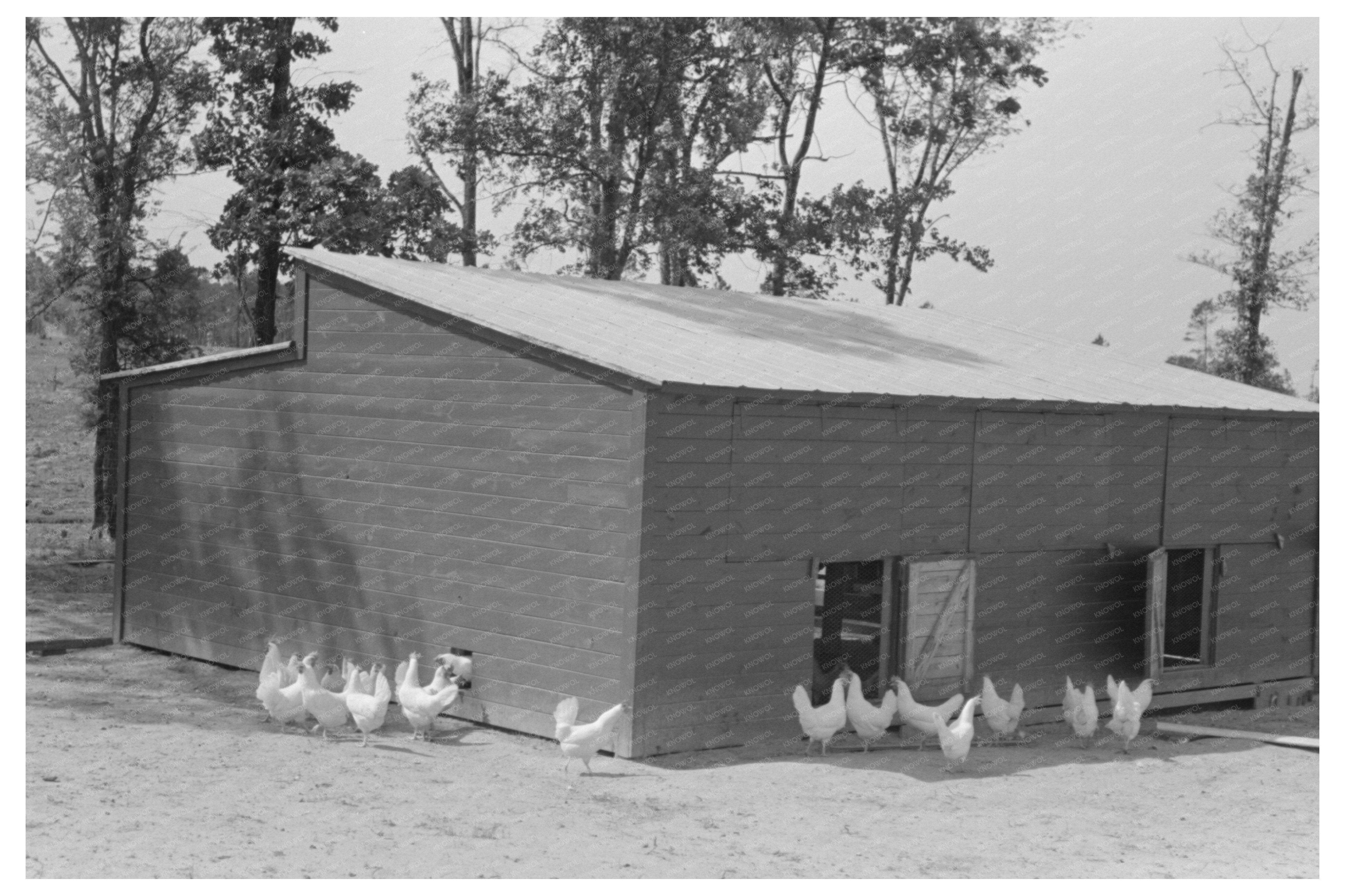 Chicken Coop at Sabine Farms Marshall Texas May 1939