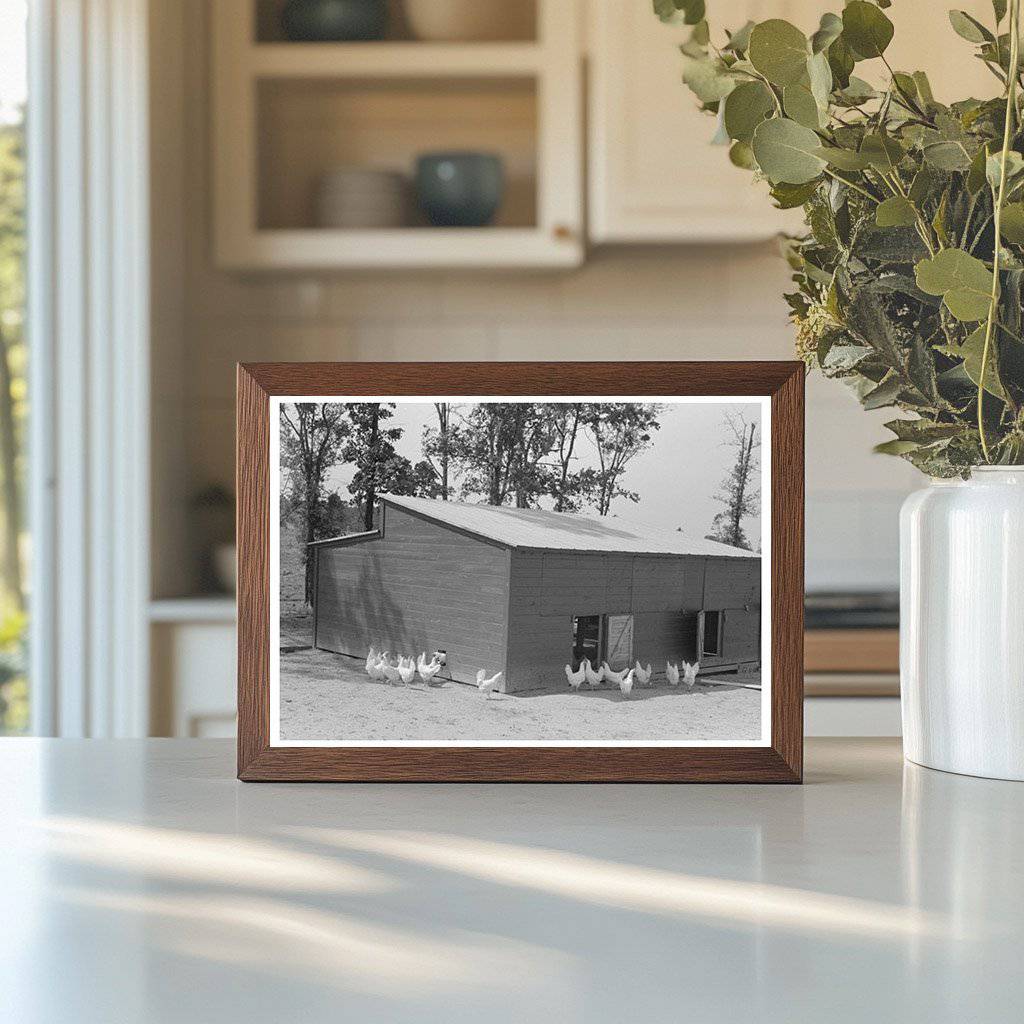 Chicken Coop at Sabine Farms Marshall Texas May 1939