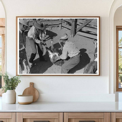 Cowboy Calf Roping at Walking X Ranch Texas 1939