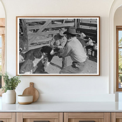 Cattle Roundup Scene in Marfa Texas 1939