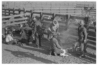 Cattle Branding Scene at Walking X Ranch May 1939