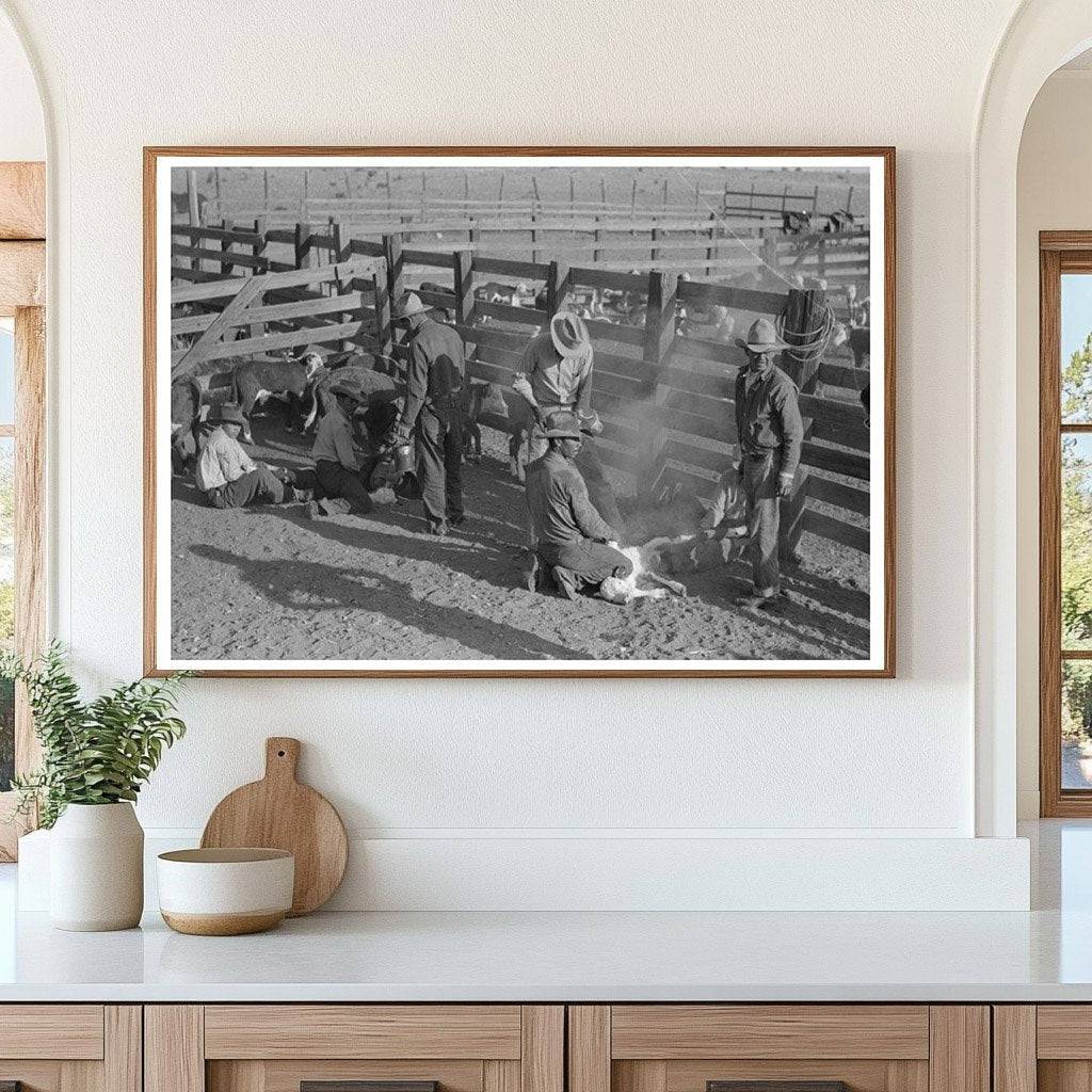 Cattle Branding Scene at Walking X Ranch May 1939