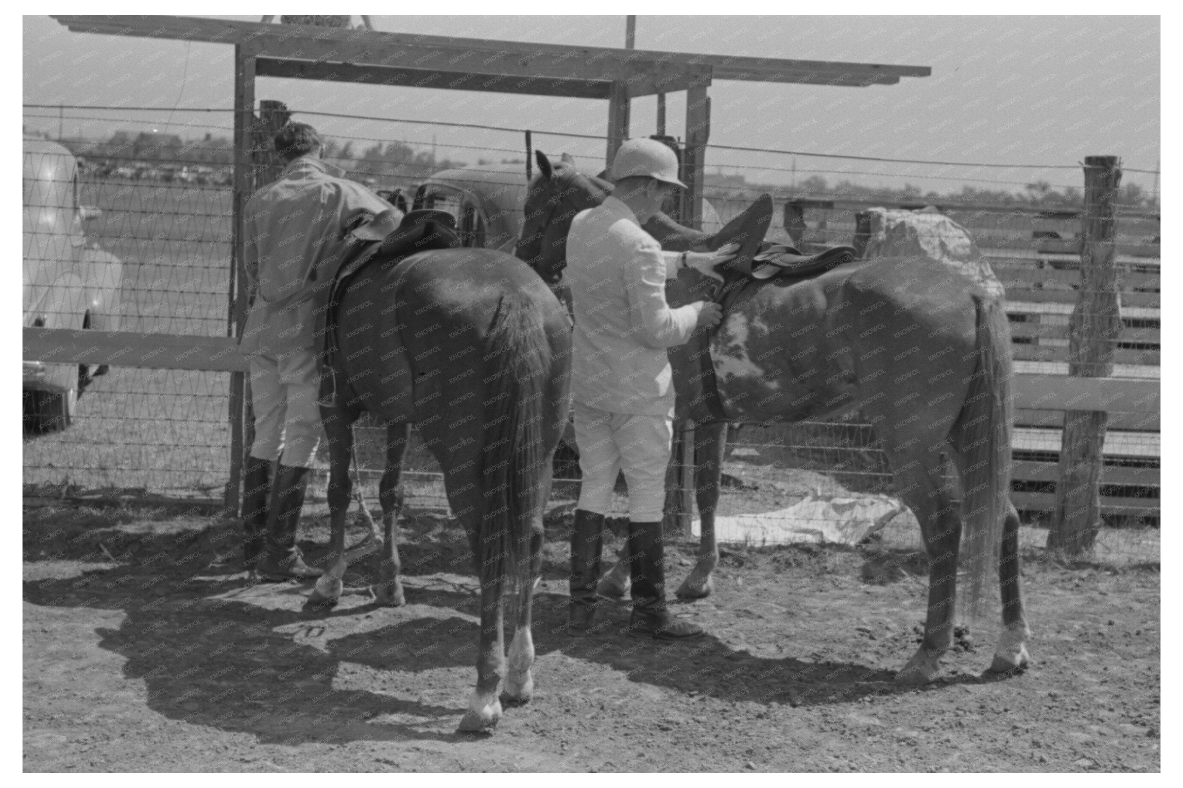 Ponies Readied for Polo Match in Abilene Texas 1939