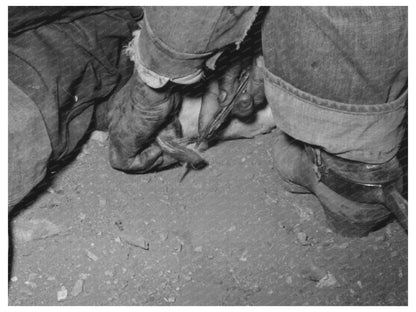 Calf Horn Burning Roundup Scene Marfa Texas 1939