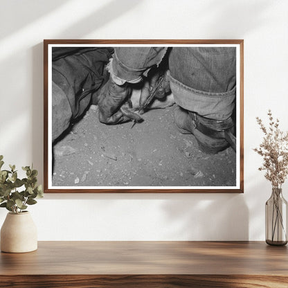 Calf Horn Burning Roundup Scene Marfa Texas 1939