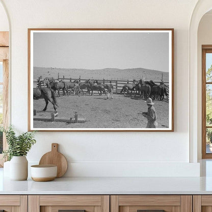 Cowboys Roping and Saddling Horses at Walking X Ranch 1939