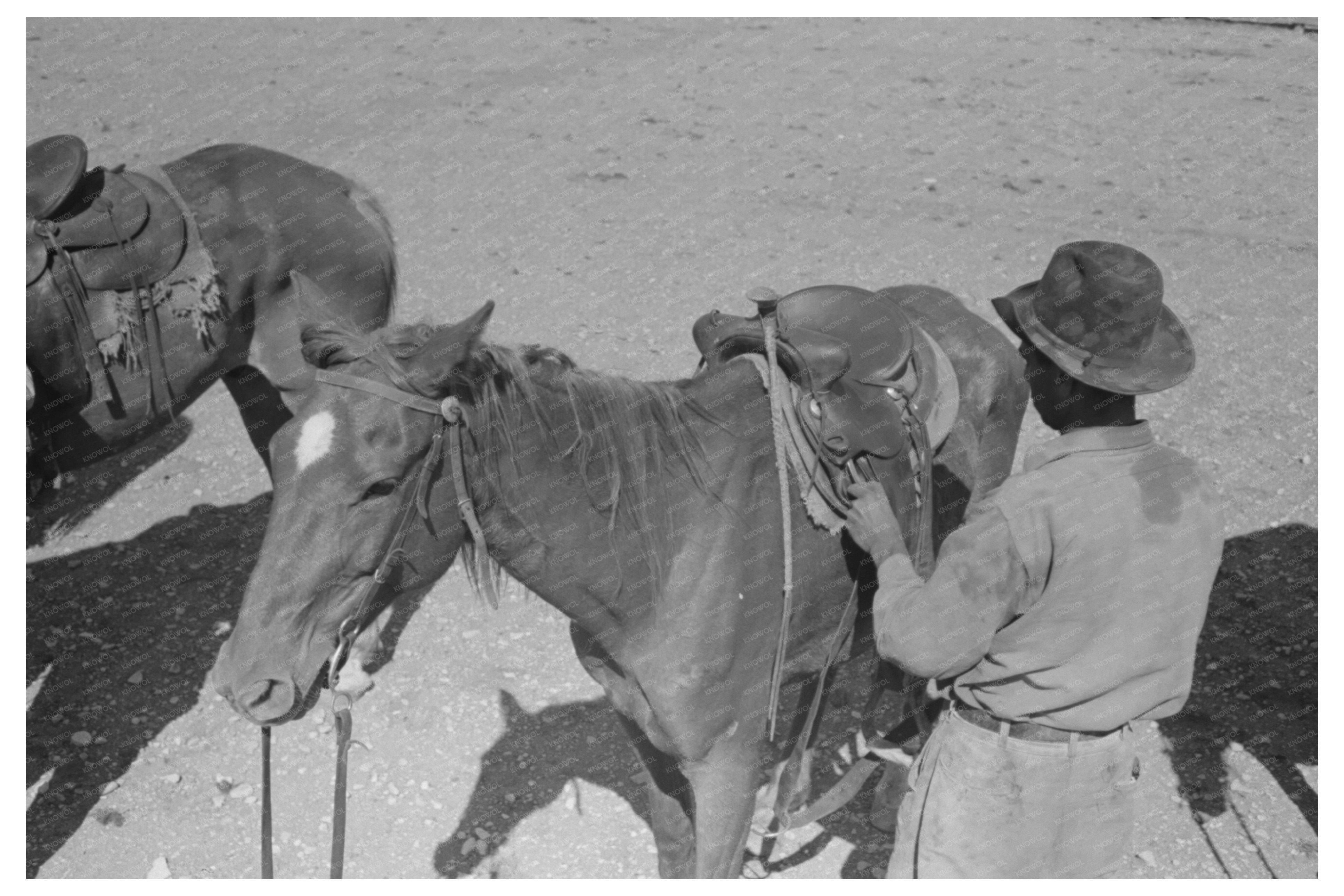 Cowboy Saddling Horse at Walking X Ranch May 1939