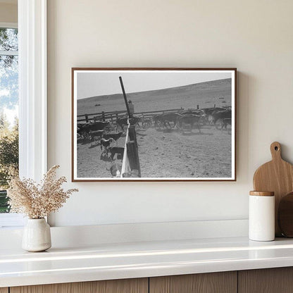 Cattle Roundup Near Marfa Texas May 1939