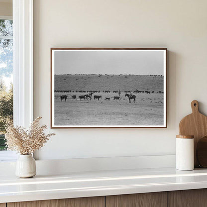 Calves Roundup at Walking X Ranch Marfa Texas May 1939