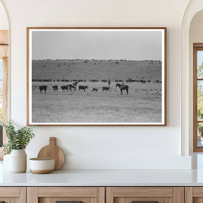 Calves Roundup at Walking X Ranch Marfa Texas May 1939