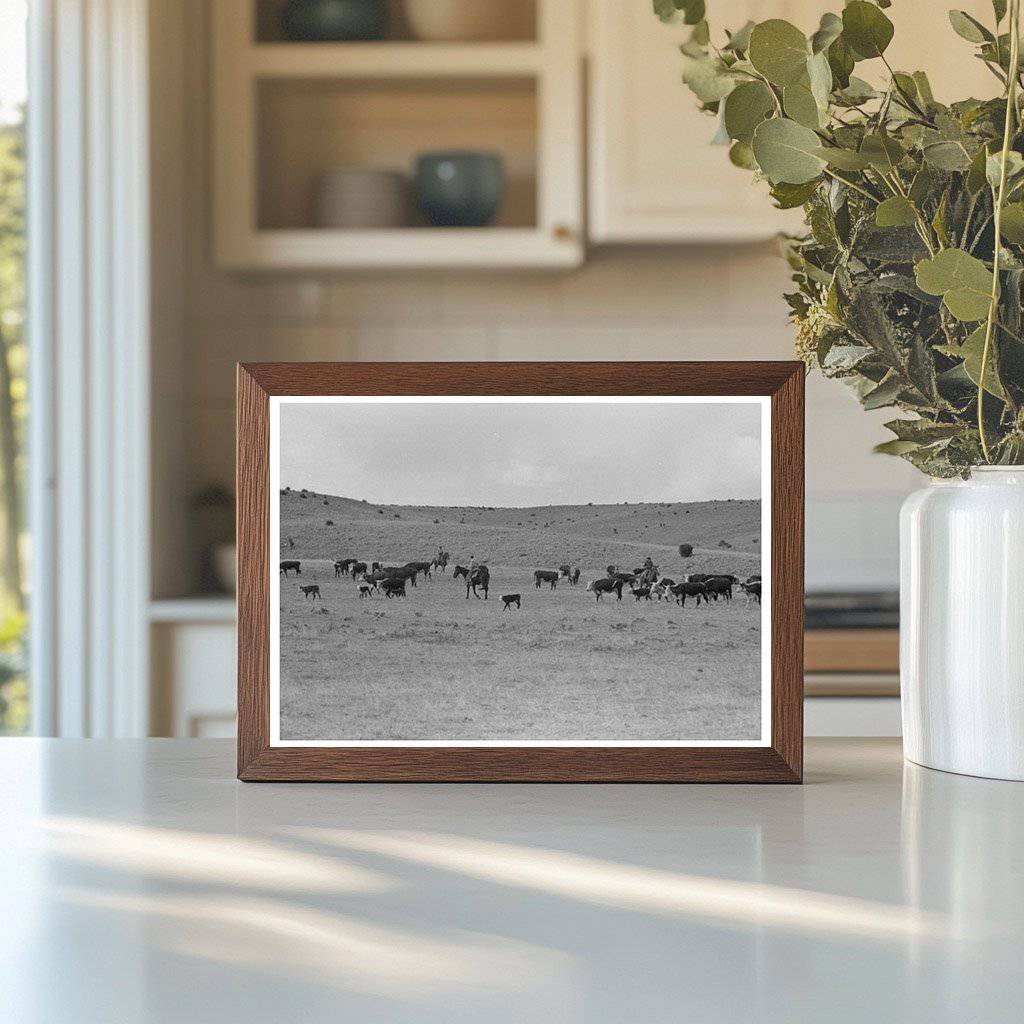 Cattle Roundup in Marfa Texas May 1939 Vintage Photo